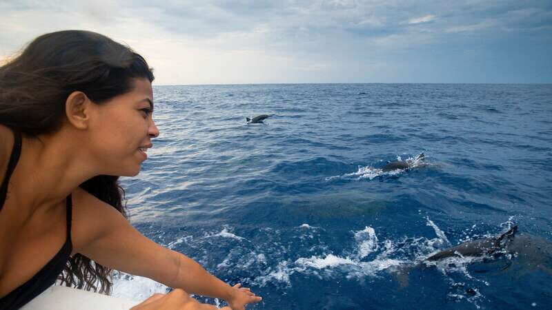 Puerto Escondido: Boat Tour among Dolphins and Turtles - What to Bring and Tips