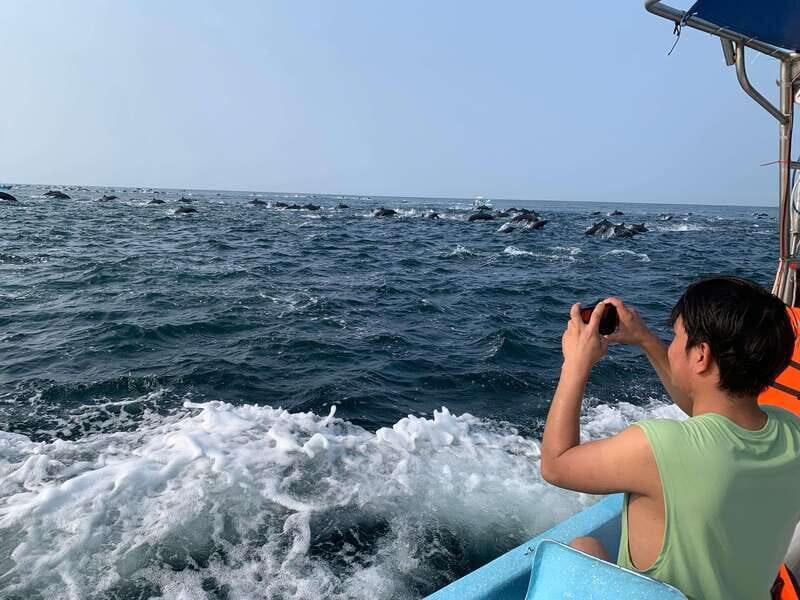 Puerto Escondido: Boat Tour to see Dolphins and Marine Life - Experience Puerto Escondido’s Marine Wonders with a Boat Tour