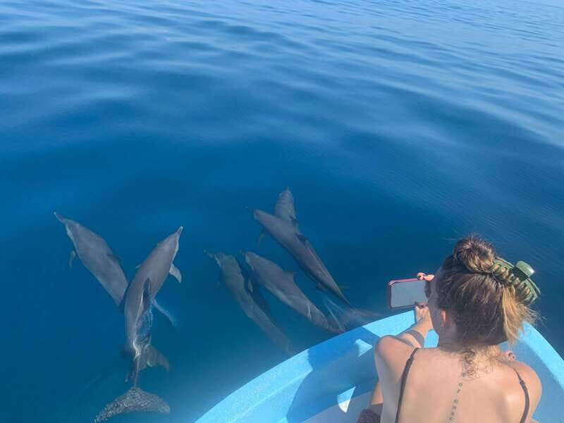 Puerto Escondido: Boat Tour to see Dolphins and Marine Life - The Itinerary in Detail