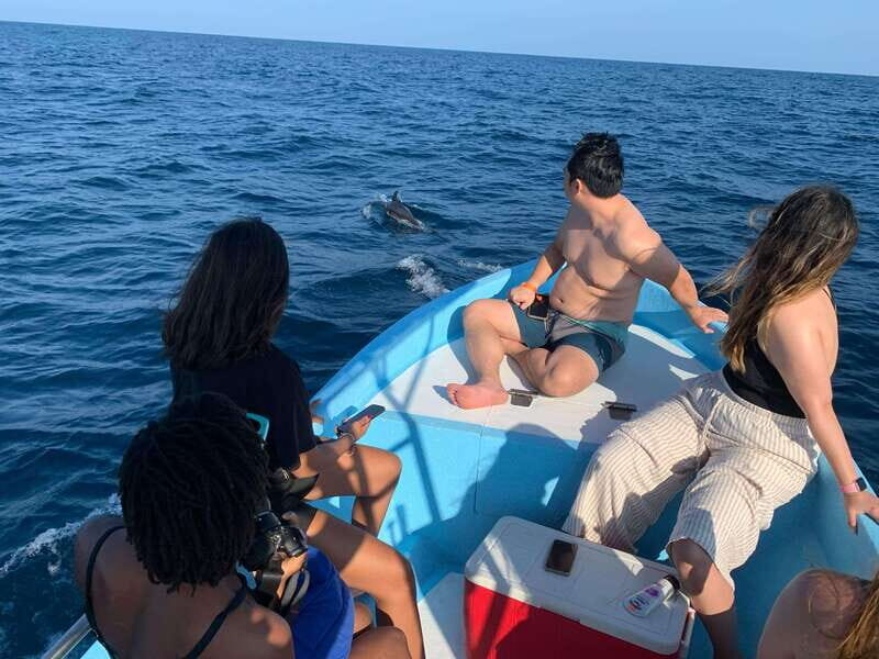 Puerto Escondido: Boat Tour to see Dolphins and Marine Life - Final Thoughts: Is This Tour for You?