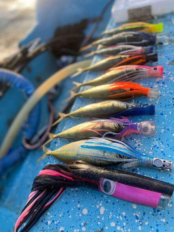 Puerto Escondido: Fishing Boat Trip with Buffet Lunch - A Practical Guide to the Puerto Escondido Fishing & Wildlife Trip