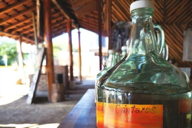 Puerto Escondido: Mezcal, Coffee, and Pedal Loom Factory - Final Thoughts