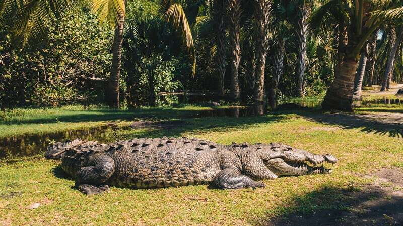 Puerto Escondido: Oaxaca Coast Wildlife Ecotour - The Bottom Line: Is This Tour Worth It?