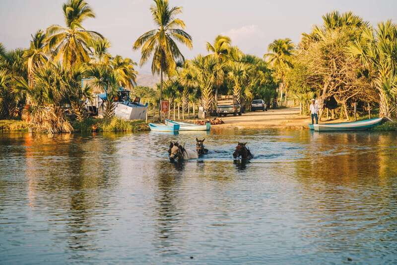 Puerto Escondido: Sunset Horse Back Riding Tour - FAQ
