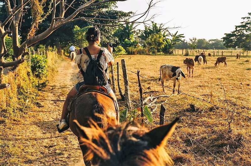 Puerto Escondido: Sunset Horse Back Riding Tour - In The Sum Up