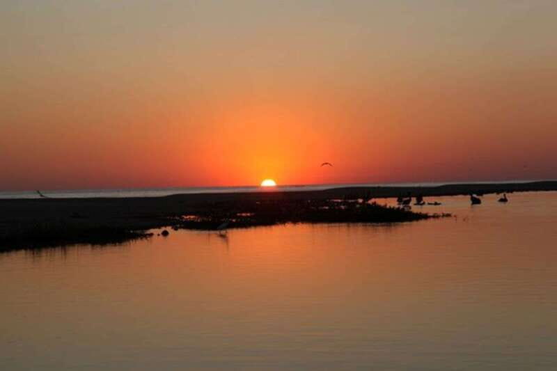 Puerto Escondido: Turtle Release and Bioluminescent Plankton - Puerto Escondido: Turtle Release and Bioluminescent Plankton