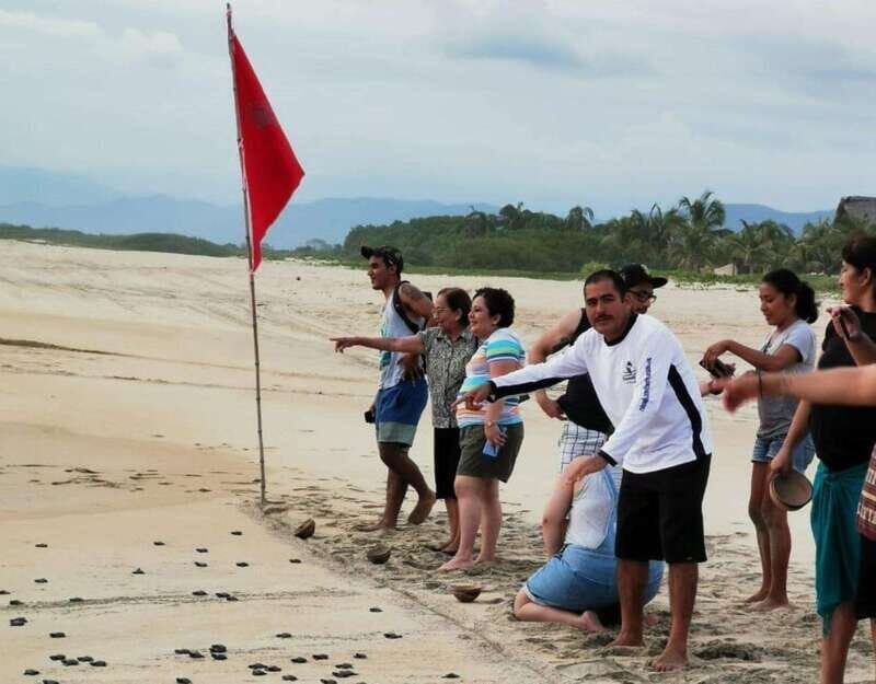 Puerto Escondido: Turtle Release Experience - What Reviews Say About the Experience