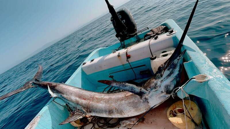 Puerto: Fishing Experience Marlin, Sailfish, Tuna or Dorado - In-Depth Review: What You Can Expect from This Fishing Adventure
