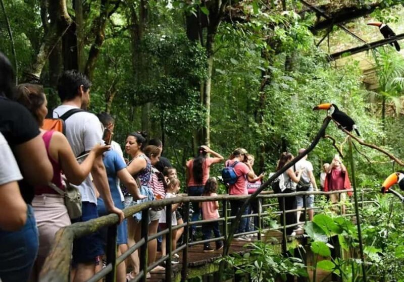 Puerto Iguazu: Iguaza Falls Brazilian Side & Bird Park Tour - Practical Tips for Travelers