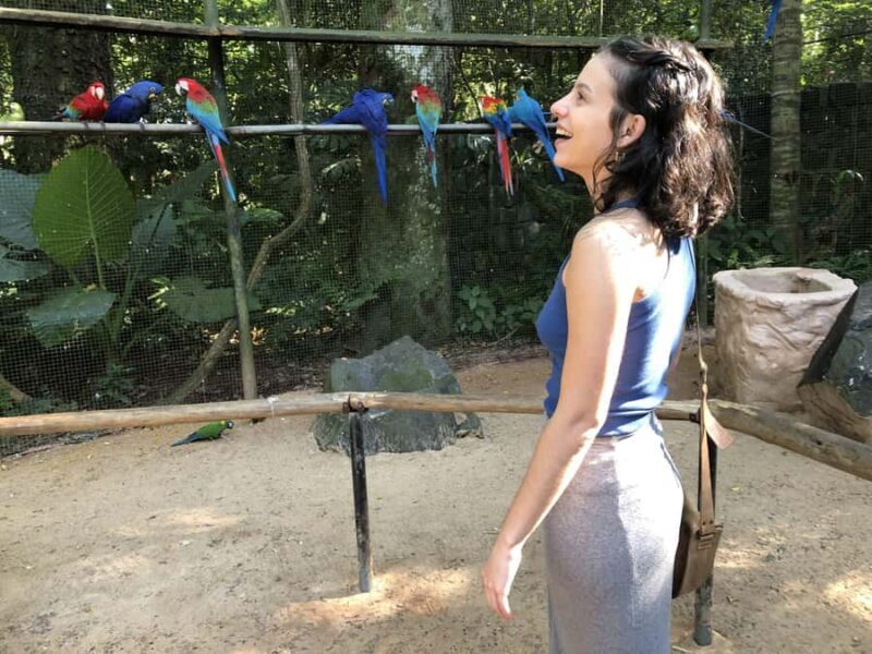 Puerto Iguazú: Tour to Brazilian Iguazú Falls with Bird Park - What to Expect During Your Day