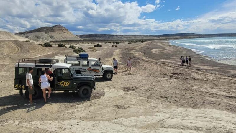 PUERTO MADRYN: 4 X 4 ADVENTURE EXPERIENCE ON THE MOST BEAUTIFUL BEACHES! - Exploring the Puerto Madryn 4x4 Beach Adventure