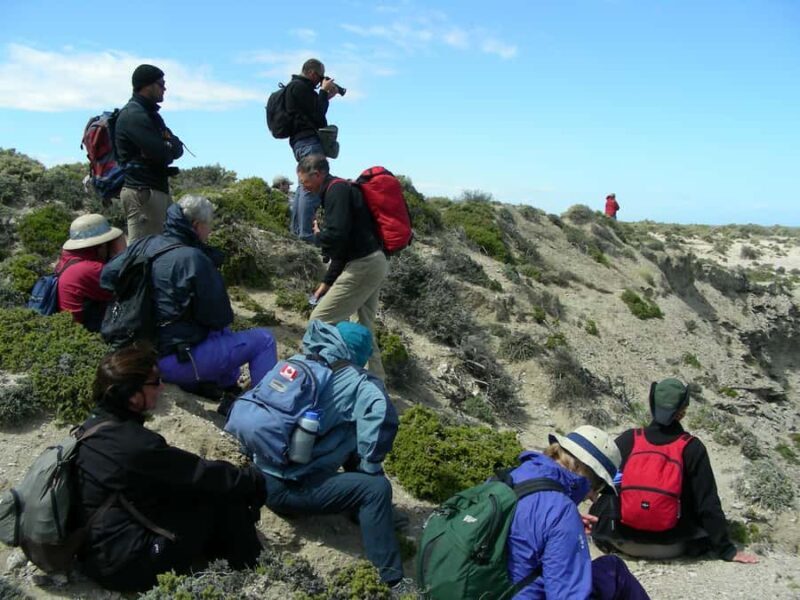 Puerto Madryn: 4×4 Jeep Sunset - Key Points