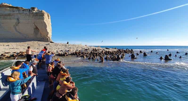 Puerto Madryn: Peninsula Valdes Tour with Whale Watching - What to Expect from the Experience