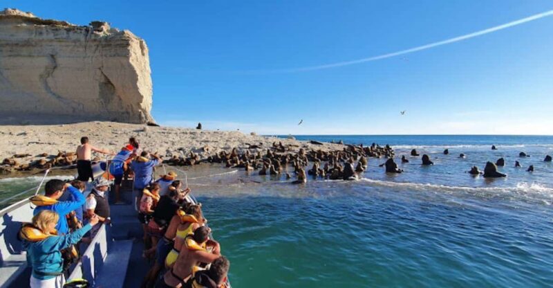Puerto Madryn: Peninsula Valdes Tour with Whale Watching - Who Should Consider This Tour?