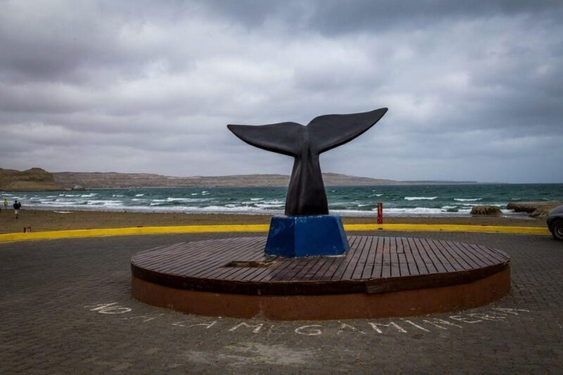Puerto Madryn: Peninsula Valdes Tour with Whale Watching - FAQ