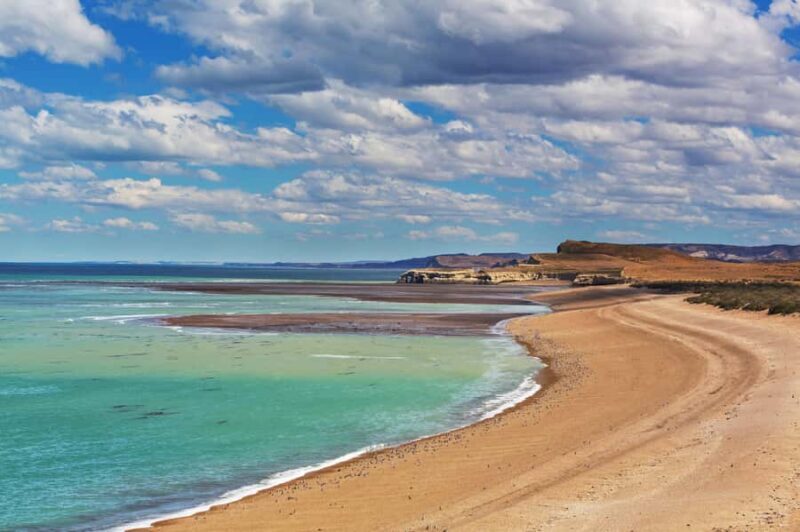 Puerto Madryn: Península Valdes with optional Whale Watching - Who Will Love This Tour?