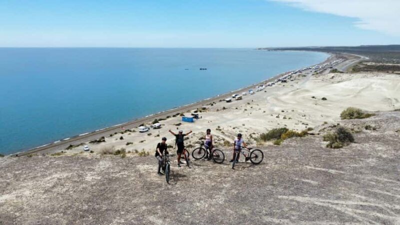Puerto Madryn: Punta Cuevas Bike Tour for Cruise Passengers - Key Points