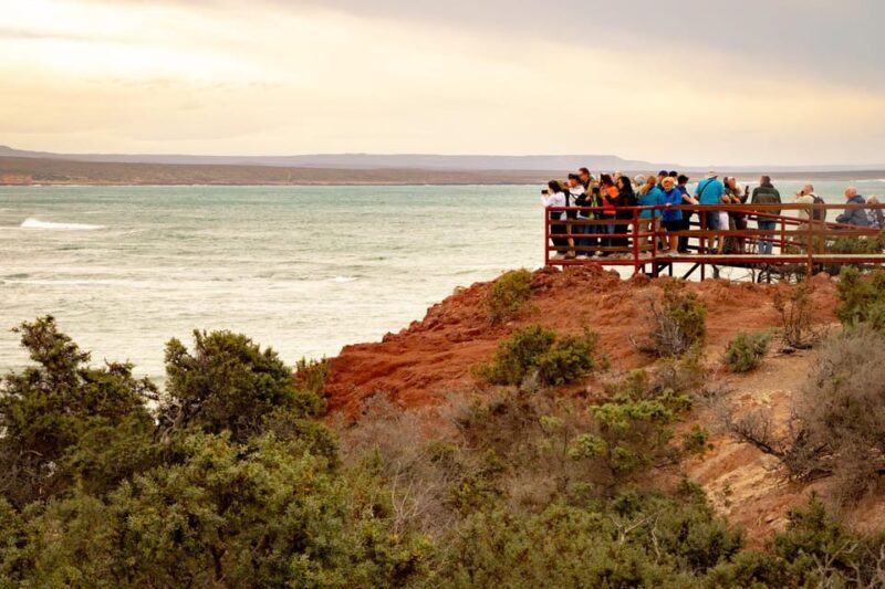 Puerto Madryn: Punta Tombo Walking Among Penguins Experience - FAQs