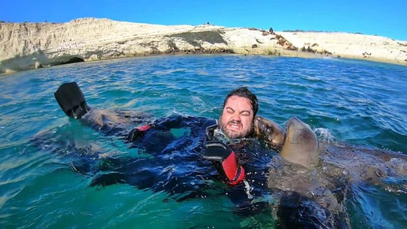 Puerto Madryn: Snorkeling Trip with Sea Lions - Who Should Consider This Tour?