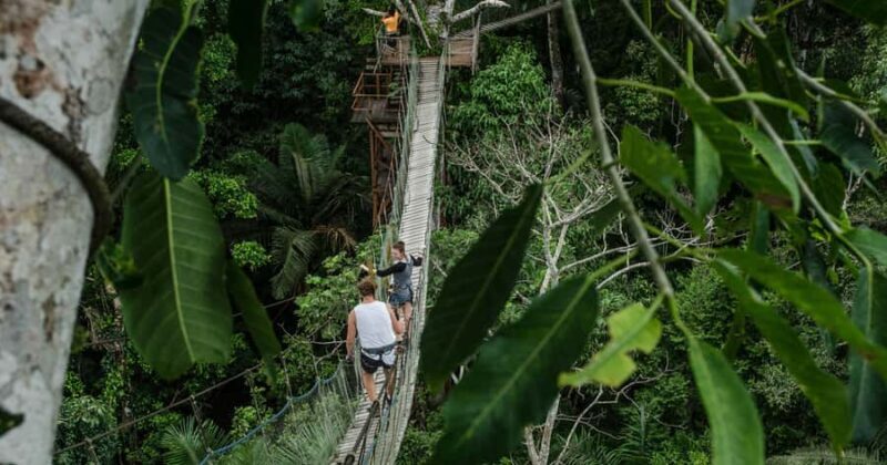 Puerto Maldonado: 2-Day Peruvian Tambopata Jungle Trip - Key Points