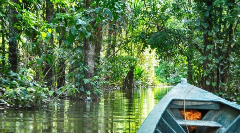 Puerto Maldonado: 2-Day Peruvian Tambopata Jungle Trip - What It Means for the Traveler