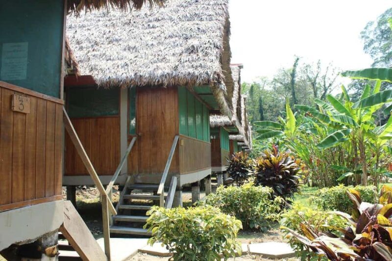 Puerto Maldonado: 2-Day Peruvian Tambopata Jungle Trip - Who Is This Tour Best For?