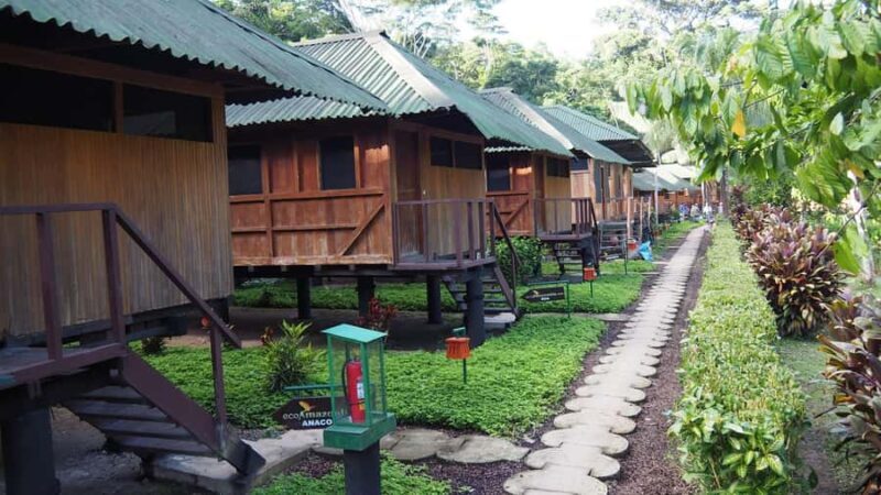 Puerto Maldonado: 2-day Tambopata National Reserve Tour - An In-Depth Look at the 2-Day Tambopata National Reserve Tour