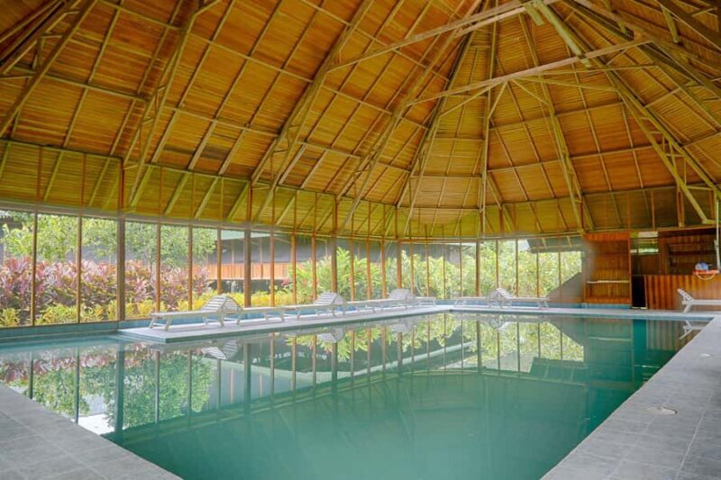 Puerto Maldonado: 3-day Tour to Tambopata National Reserve - Who will love this tour?