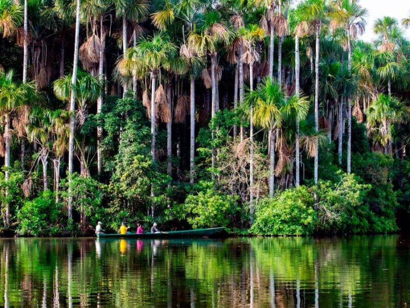 Puerto Maldonado: 4-Day Amazon Jungle Adventure - Final Thoughts