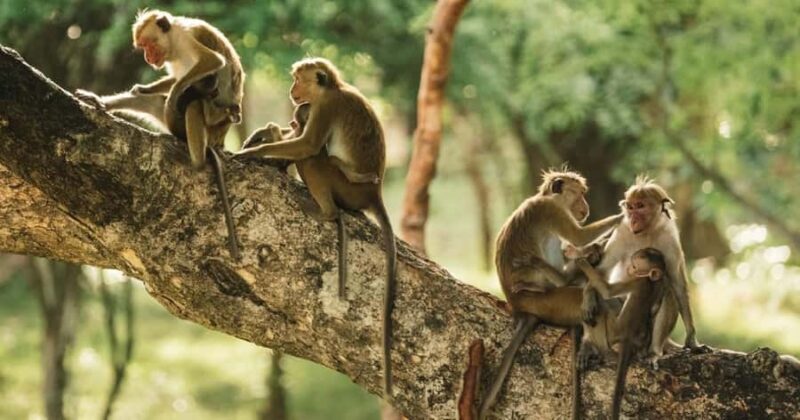 Puerto Maldonado : 4-Day Amazon Rainforest Adventure - The Value of the Tour: What’s Included and What Costs Extra