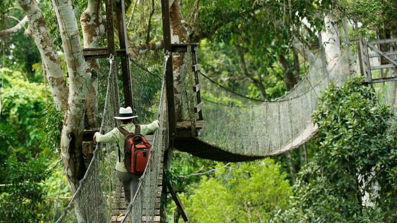 Puerto Maldonado : 4-Day Amazon Rainforest Adventure - FAQs