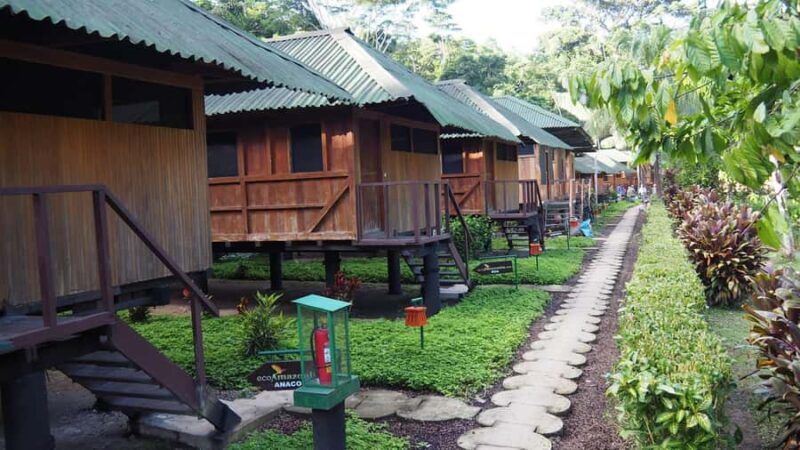 Puerto Maldonado: 4-day Tambopata National Reserve - Breaking Down the Itinerary: What You’ll Actually Do