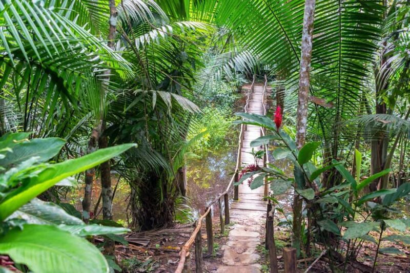 Puerto Maldonado: 4D adventure through the Amazon rainforest - Who Should Consider This Tour?