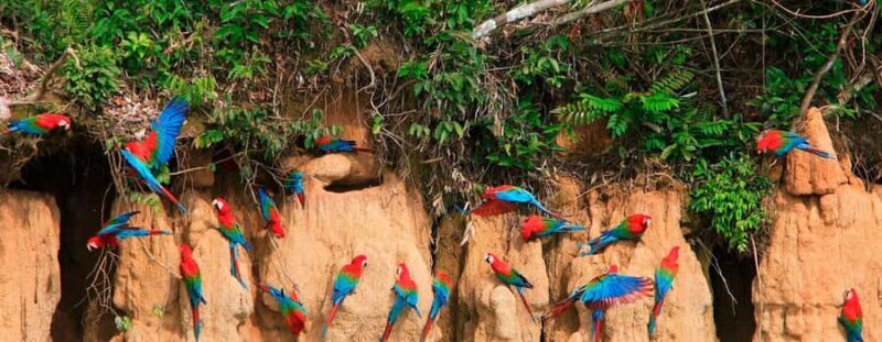 Puerto Maldonado: 4D adventure through the Amazon rainforest - Final Thoughts