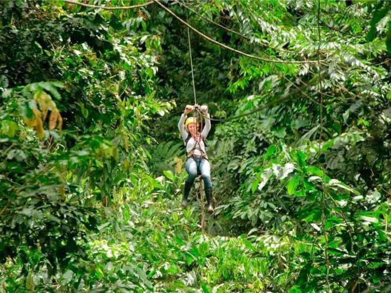 Puerto Maldonado: Jungle Adventure |Zipline + Canopy + Kayak - What Does the Tour Cover?