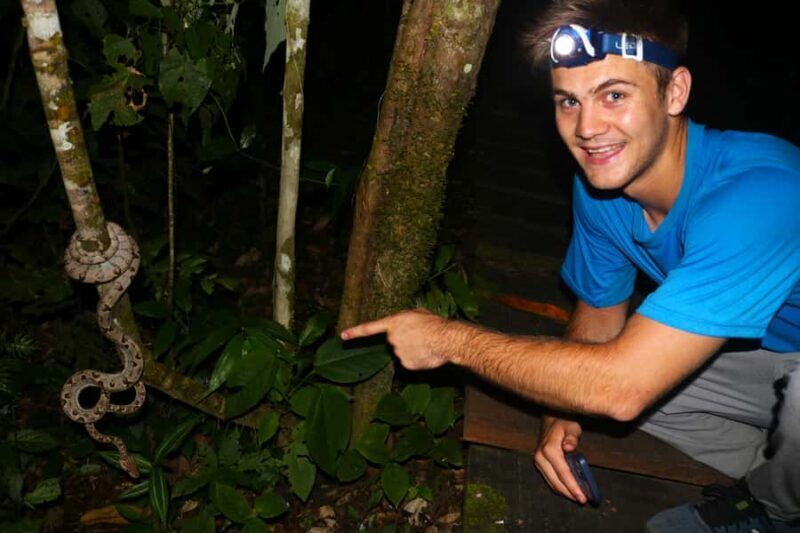 Puerto Maldonado: Jungle Night Tour with Sloths & Tarantulas - Authenticity and Value