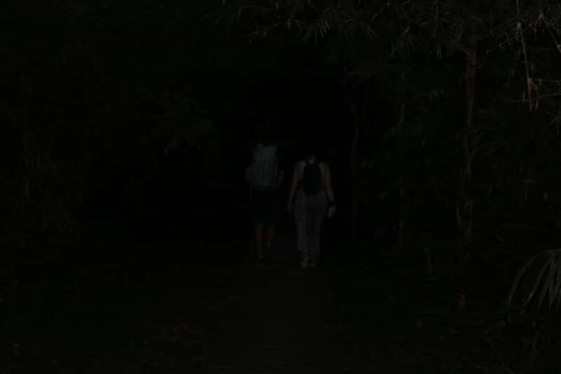 Puerto Maldonado: Jungle Night Tour with Sloths & Tarantulas - Who Should Consider This Tour?