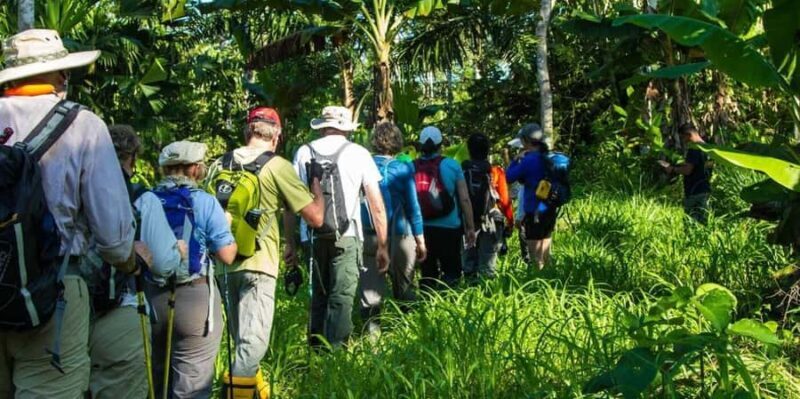 Puerto Maldonado: Jungle trekking + Sandoval Lake - Final Thoughts: Is This Tour for You?