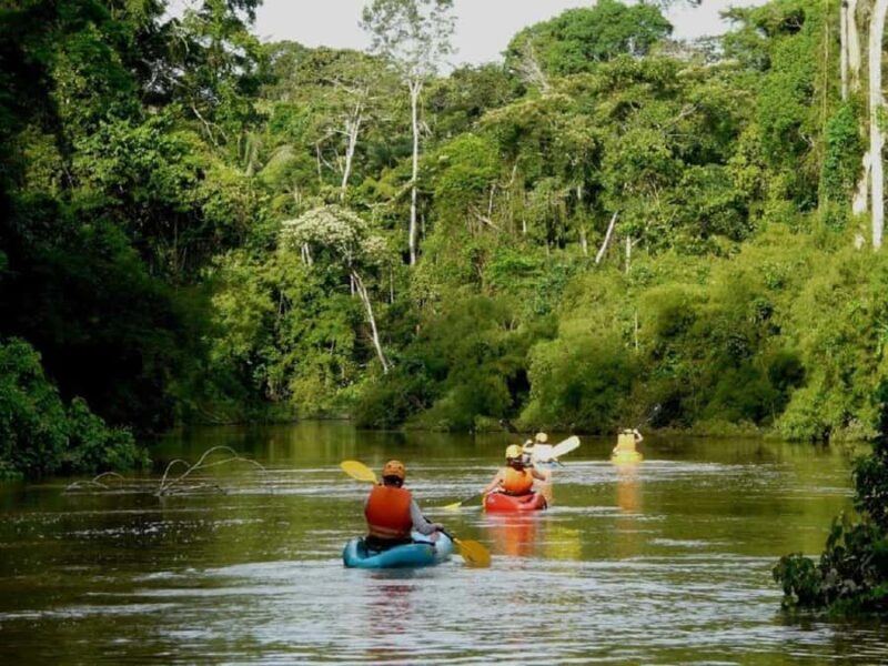 Puerto Maldonado: Kayak Adventure on the Tambopata River - Who Will Enjoy This Tour?