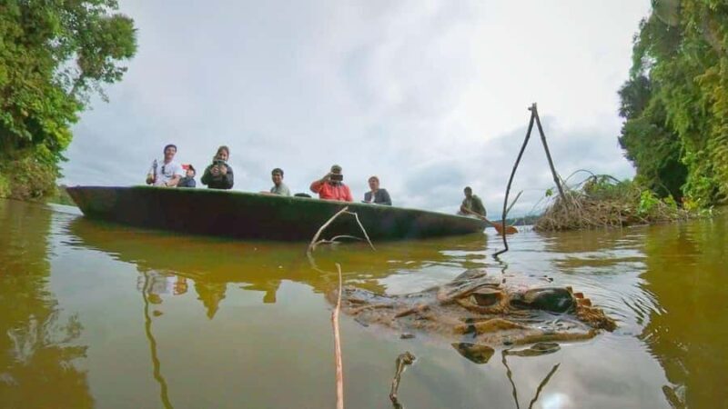Puerto Maldonado: Lago Sandoval Day Trip with Lunch - Exploring the Tambopata National Reserve and Lago Sandoval