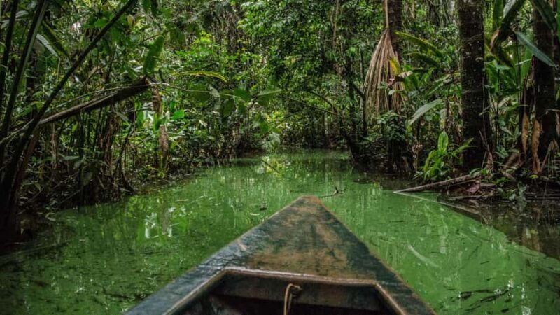 Puerto Maldonado: Lago Sandoval Day Trip with Lunch - Final Thoughts