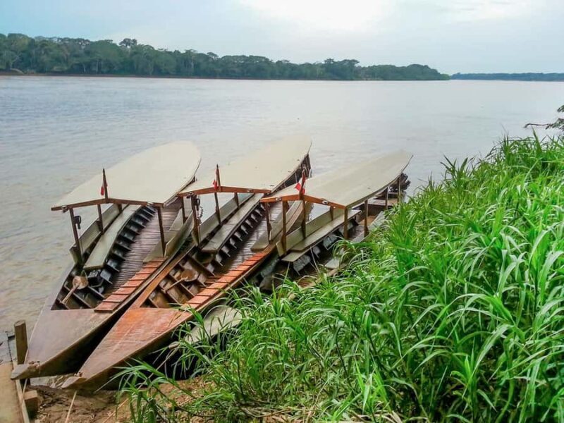 Puerto Maldonado: Lago Sandoval Day Trip with Lunch - Final Verdict