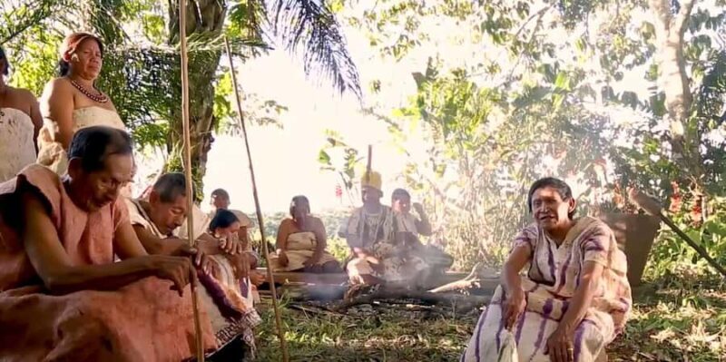 Puerto Maldonado: Reserva Nacional de Tambopata 4-Days - Key Points