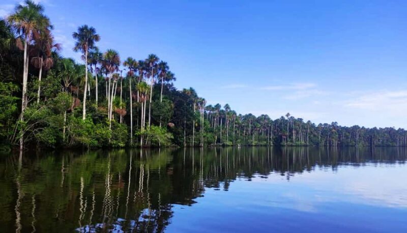 Puerto Maldonado: Sandoval and Parrot Clay Lick 3 Days - The Sum Up
