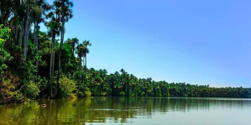 Puerto Maldonado: Tambopata National Reserve 3-day excursion - What to Expect from the 3-Day Tambopata Tour