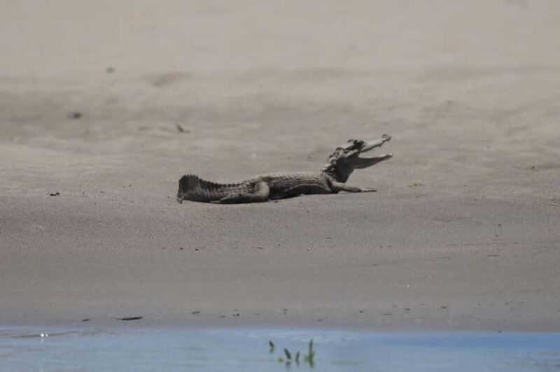 Puerto Maldonado: Tambopata Sandoval Lake 3-Day Tour - Final Thoughts