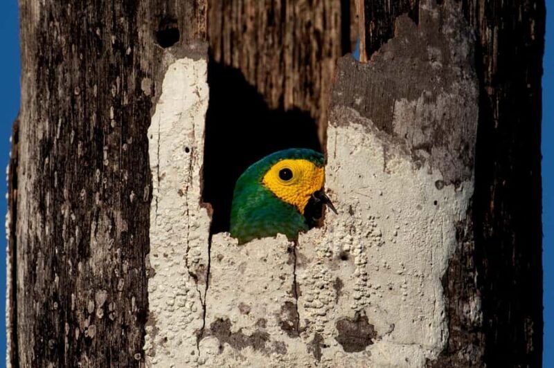 Puerto Maldonado : Trip to Yacumama Lake + sunset - Puerto Maldonado: Trip to Yacumama Lake + Sunset