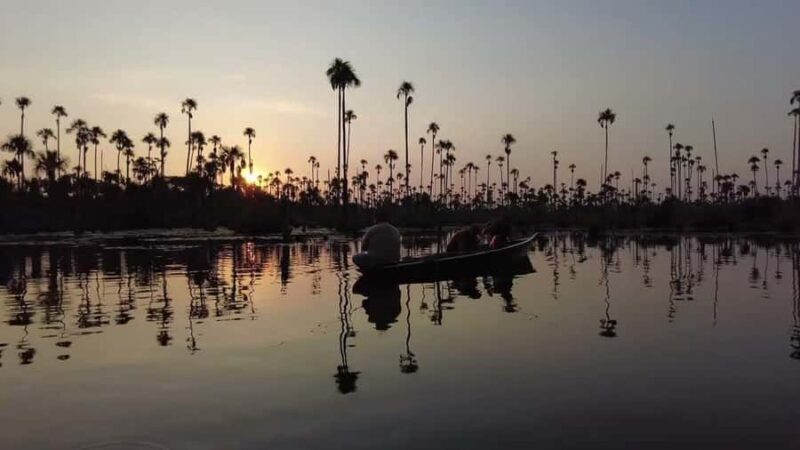 Puerto Maldonado : Trip to Yacumama Lake + sunset - Key Points