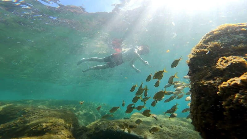 Puerto Mogán: Guided Adventure Kayak Tour in Caves & Snorkel - Puerto Mogán: Guided Adventure Kayak Tour in Caves & Snorkel