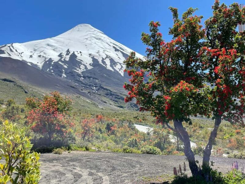 Puerto Montt: Osorno Volcano Tour Shore Tour in Private - Osorno Volcano: Majesty from a Viewpoint